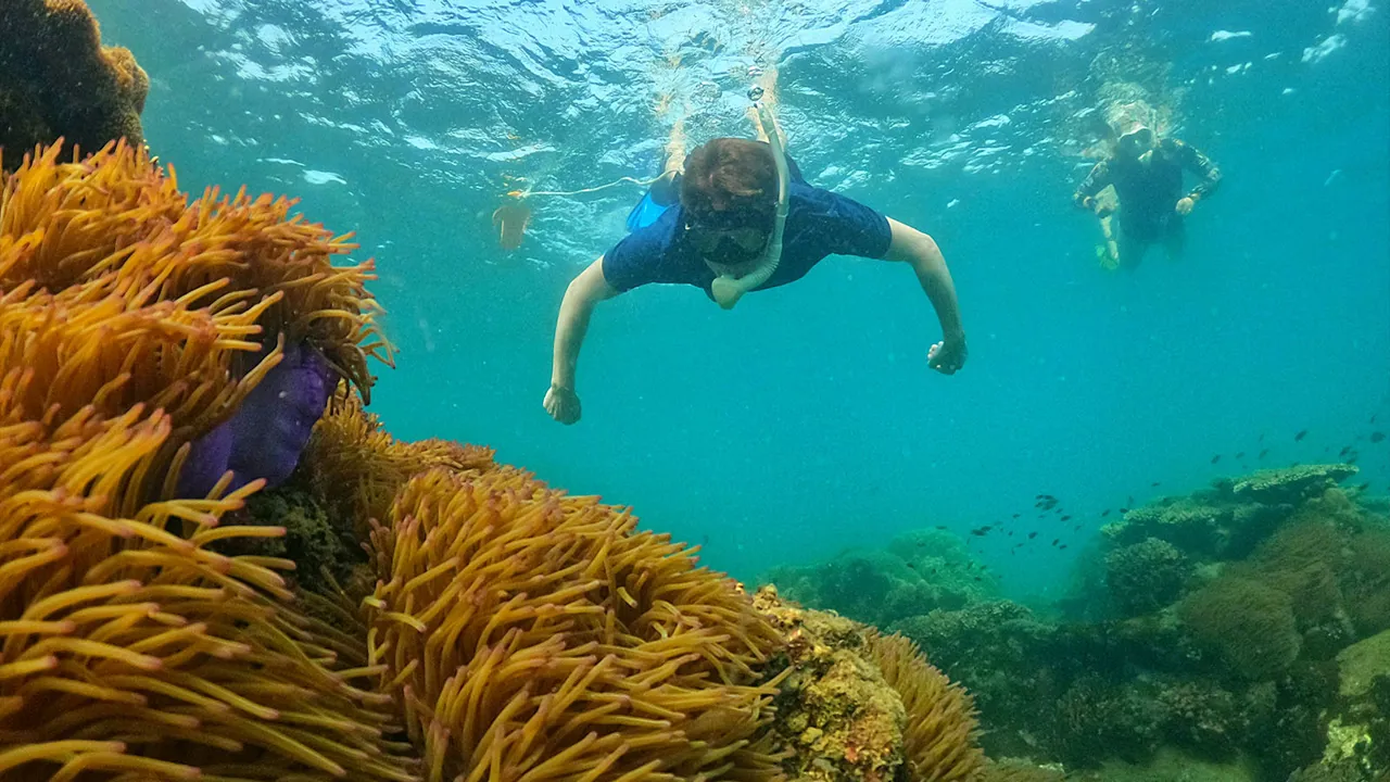 plongees-sous-marine-au-vietnam