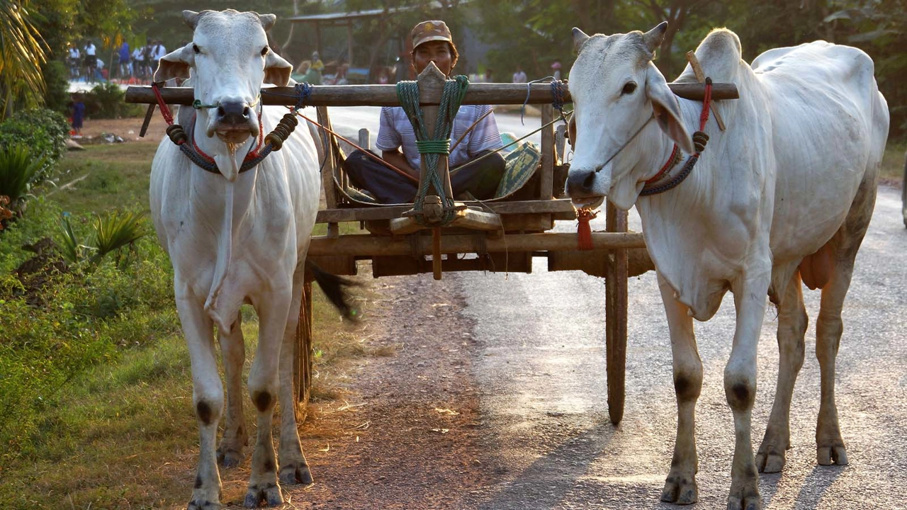 transportation-in-cambodia
