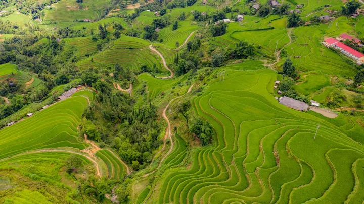 Hoang Su Phi