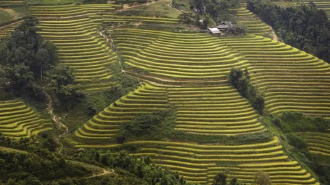 Natur von Hoang Su Phi