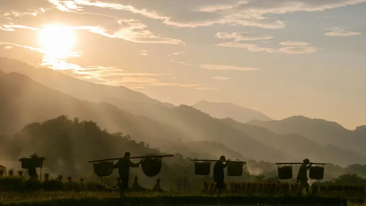 Scène travaille au champs