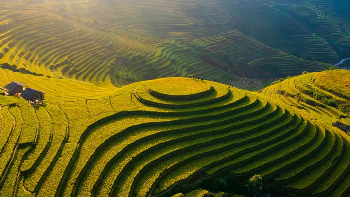 Magnifiques champs taillés Mu Cang Chai